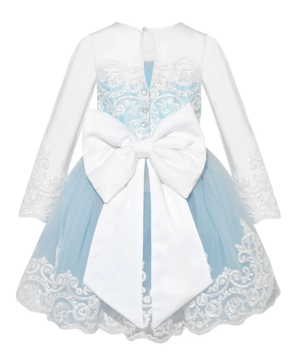 Bluebell Embellished Sleeve Dress