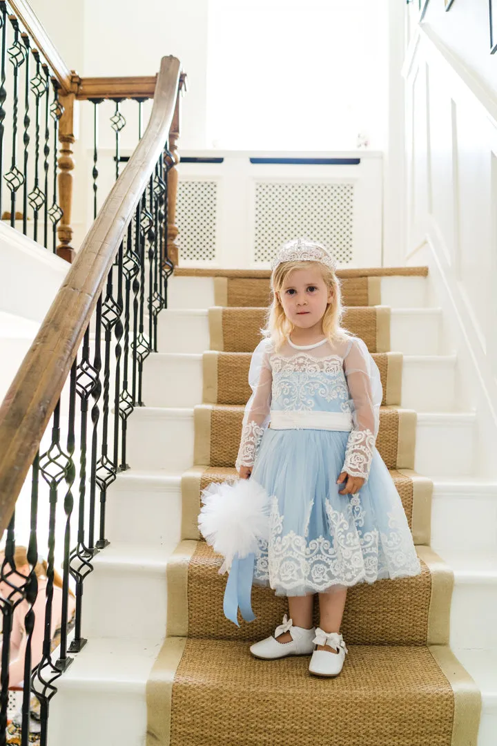 Bluebell Embellished Sleeve Dress