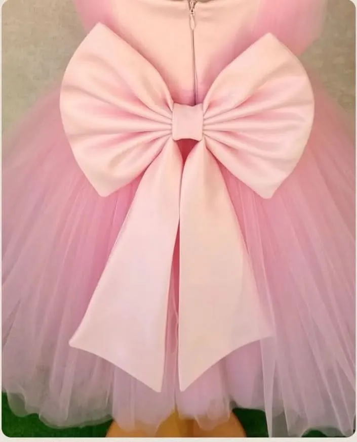 Dreamy Princess Dress Multi-layered Tulle Design Elegant Pink Princess Gown